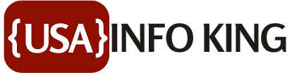 UsaInfoKing Logo